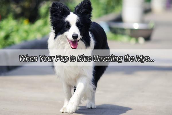 When Your Pup is Blue Unveiling the Mystery of Canine Ischemia